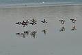15 04 15_2988_edited-1